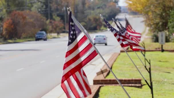 Bandeiras Americanas Alinhadas Acenando Câmera Lenta Perto Estrada — Vídeo de Stock