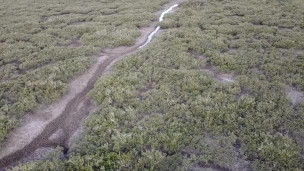 Pesawat Tak Berawak Menunjukkan Sungai Dan Tanah Basah — Stok Video
