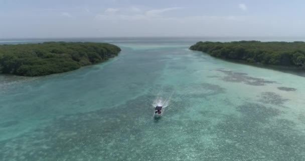 Aerial View Tilt Tracking Fishing Boat Mangrove Forest Sailing Blue — Stock Video