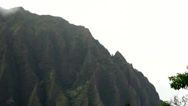 Tropické Hory Havaji Oahu — Stock video