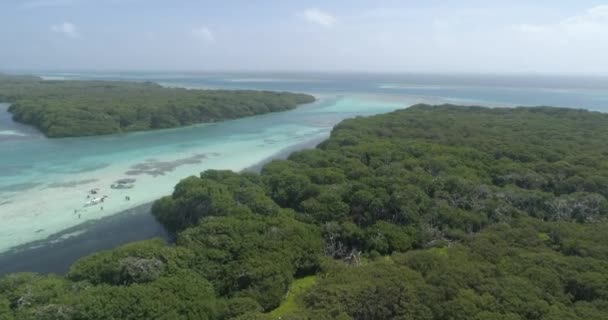 Schöne Luftaufnahme Über Den Mangrovenwald Mit Blauem Meer Menschen Erkunden — Stockvideo