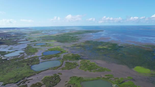 Aerial Estuary Wetland Bay Ocean Bassin Arcachon Bay France — Vídeo de stock