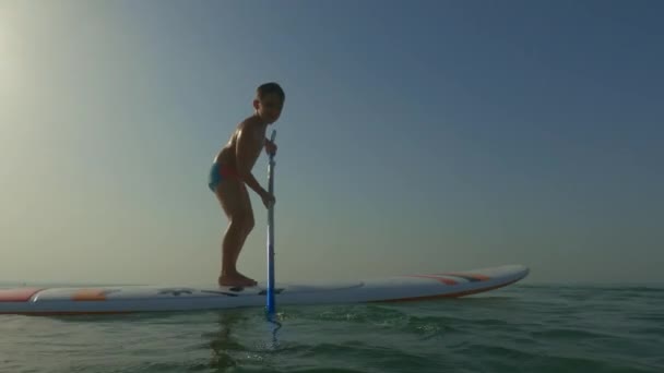 Μικρό Παιδί Αγόρι Έχουν Διασκέδαση Surfing Sup Standup Κουπί Του — Αρχείο Βίντεο