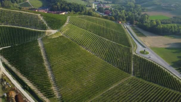 Wijngaard Landbouwgebied Langhe Piemonte Italië — Stockvideo