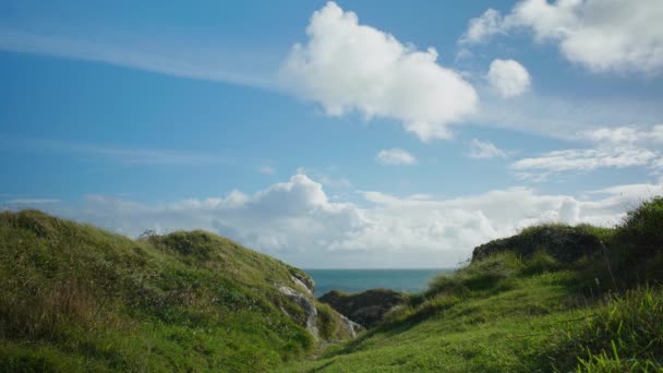 Fotografía Cinematográfica Sendero Costero Que Hacia Borde Acantilado Día Soleado — Vídeo de stock