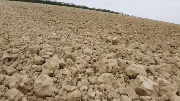 Bebouwde Grond Voor Landbouw Landelijk Veld — Stockvideo