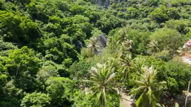 Images Aériennes Coulissantes Vers Droite Révélant Des Cocotiers Temple Bouddhiste — Video