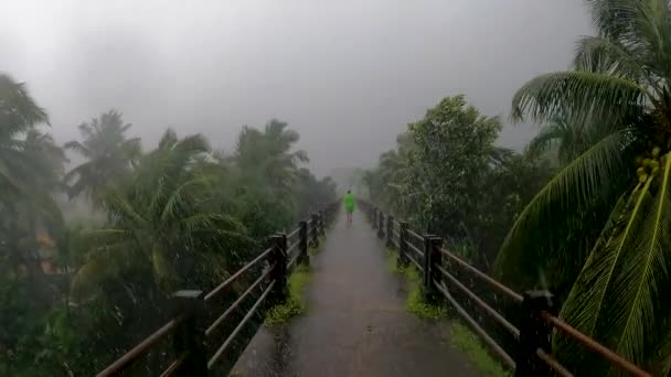 大雨のモンスーンの間のケリ サタリ橋 インド ゴアの自然の中で美しい足の橋 — ストック動画