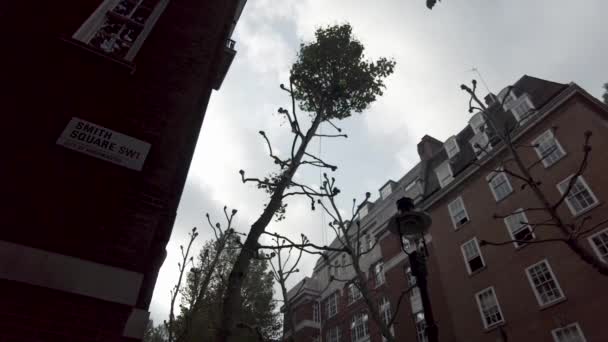 Gałęzie Spadające Drzewa Wycięte Przez Arborystę Londynie Niski Kąt Patrzenie — Wideo stockowe