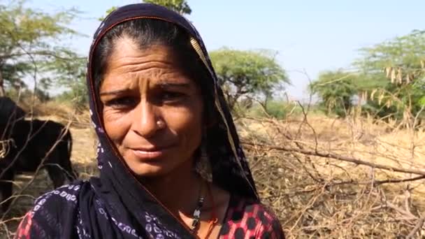 Autentiske Håndholdt Portræt Landmand Indisk Kvinde Fra Landsbyen Rajasthan Med – Stock-video