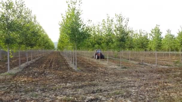 Trekker Machines Apparatuur Populieren Landbouw Teeltveld Boer Aan Het Werk — Stockvideo