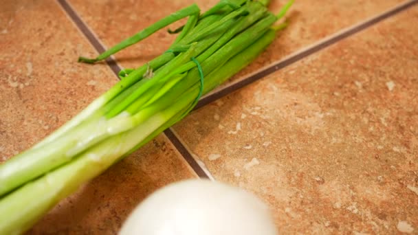 Cebolas Todas Formas Cores Tamanhos Prontos Para Usar Suas Receitas — Vídeo de Stock