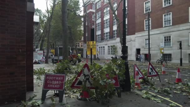 Branches Falling Closed Road Arborists Central London — Stock Video