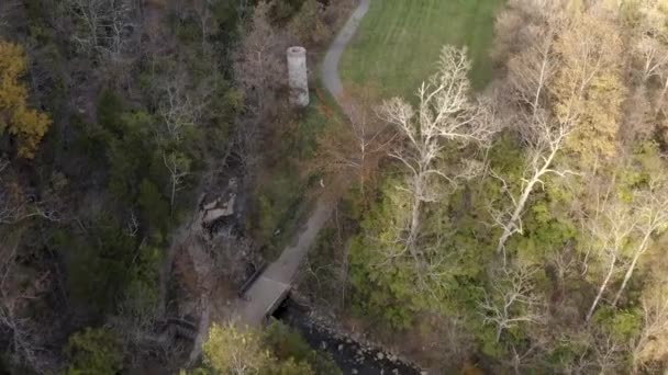 Colpo Spazzare Parco Cittadino Locale Che Molto Calma Piacevole — Video Stock