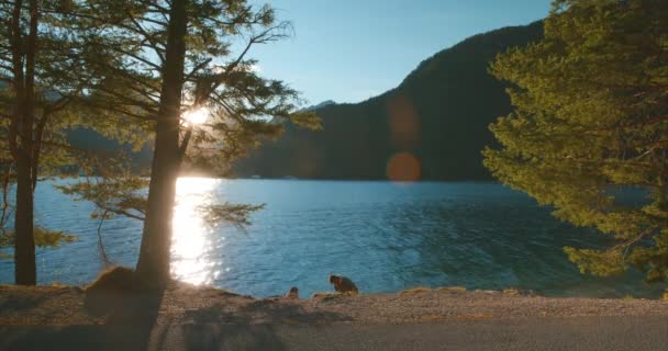 Hommes Fumant Près Sentier Pédestre Par Vue Panoramique Sur Les — Video