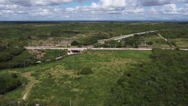 Side Aerial View Forest Landscape Horizontal Road Cars Natural Area — Stock Video