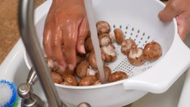 Mencuci Dan Membilas Jamur Organik Dengan Colander Wastafel Dapur Gerakan — Stok Video