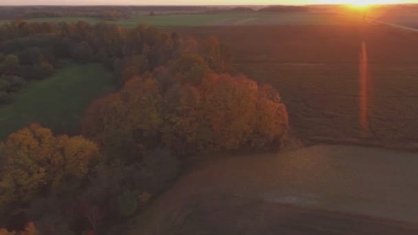 Sunset Light Illuminated Colorful Trees Winding River Sunny Autumn Evening — Stok Video