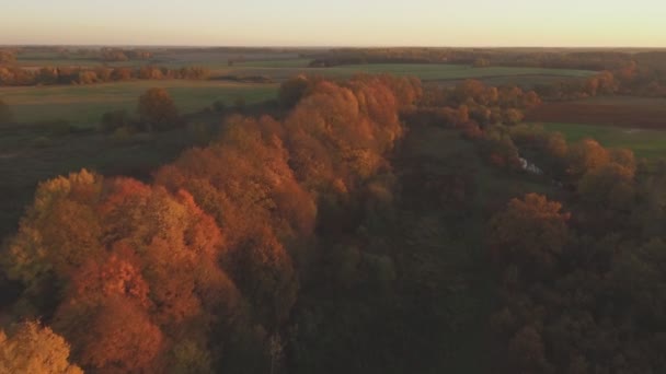 在一个阳光明媚的秋夜 蜿蜒的河流和夕阳西下明亮的五彩斑斓的树木 空中侦察射击 — 图库视频影像