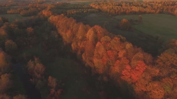 Winding River Sunset Aydınlatılmış Renkli Ağaçlar Güneşli Sonbahar Akşamı Hava — Stok video