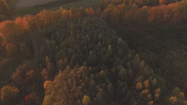 Zachód Słońca Podświetlone Kolorowe Drzewa Słoneczny Jesienny Wieczór Lot Powietrzny — Wideo stockowe
