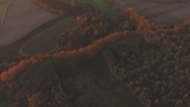 Färgglada Träd Och Slingrande Flod Höst Kväll Spårning Antenner — Stockvideo