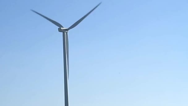 Granja Aerogeneradores Con Cielo Azul Hay Gente Stock Video — Vídeos de Stock