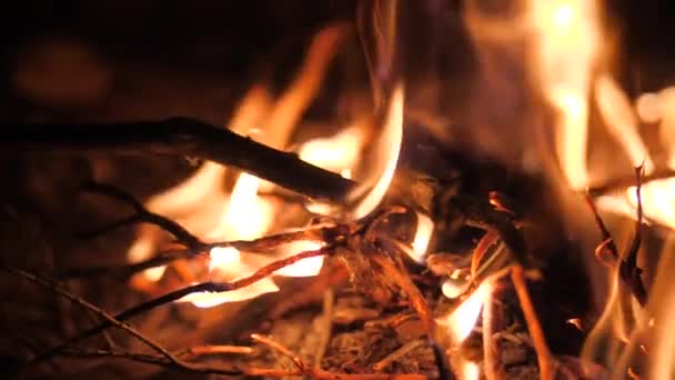Cinematic Shot Burning Log Fire Flames Fireplace Close Slow Motion — Stock Video
