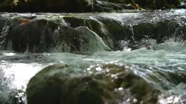 Vista Cerca Arroyo Río Forestal Que Cae Cascada Sobre Las — Vídeo de stock