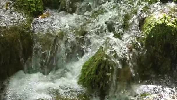 Pequeña Cascada Bosque Río Montaña Salpicaduras Agua Primer Plano Del — Vídeos de Stock