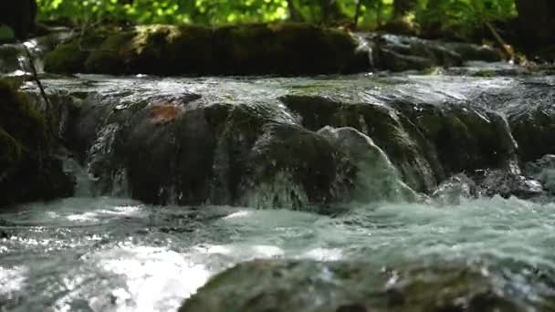 Nahaufnahme Eines Waldflusses Der Über Felsen Fließt Wasser Schimmert Sonnenlicht — Stockvideo