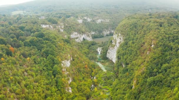 Epische Drohnenaufnahmen Aus Der Luft Die Über Bunte Bergige Waldschluchten — Stockvideo