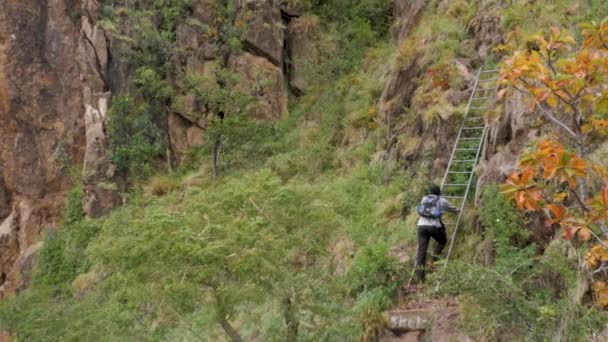 Угандиец Карабкается Лестнице Африканскую Скалу Гору — стоковое видео