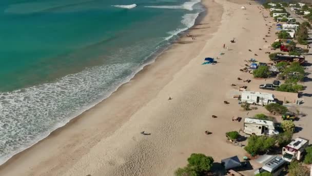 Aerial Reveal Doheny Beach Camp Ground Dana Point California — Stock Video