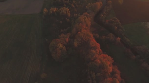 Красочные Деревья Извилистая Река Солнечный Осенний Вечер Воздушная Дуга — стоковое видео