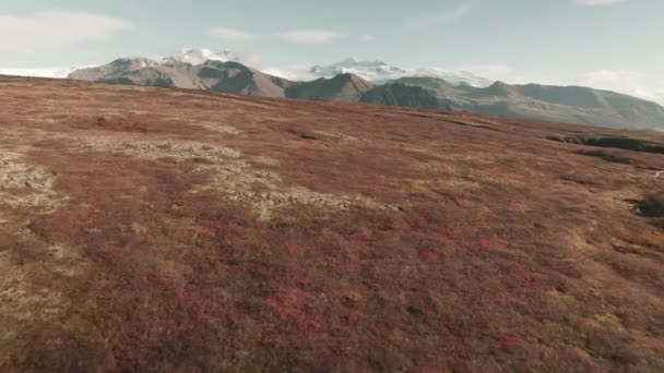 Флавер Над Безплідним Ландшафтом Ісландії Сніжний Гірський Хребет Тлі — стокове відео