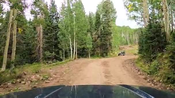 産業森林切断機を通過 砂利道でPovを駆動 — ストック動画