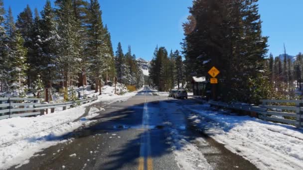 Estrada Lamacenta Caminhantes Carros Lagos Mamute Nevado Ensolarado Califórnia Vista — Vídeo de Stock