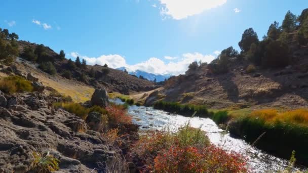 Hot Creek Inyo National Forest Słoneczny Jesienny Dzień Mammoth Kalifornia — Wideo stockowe