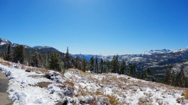 カリフォルニア州インヨー国有林の雪に覆われたモントレービスタの景色と森の木 ハンドヘルド静的 — ストック動画