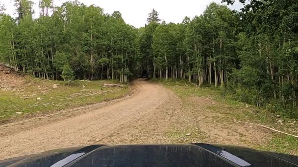 Logging Harvester Passing While Standing Roadside Pov Car Front Speed — Stock Video