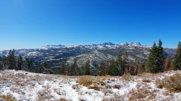 Vue Panoramique Depuis Belvédère Enneigé Monterey Vista Dans Forêt Nationale — Video