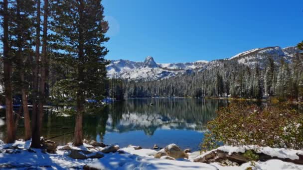 多雪的高山和结冰的森林 从阳光明媚的马米湖面上反射出来 树木在前景广阔的静止不动拍摄 — 图库视频影像