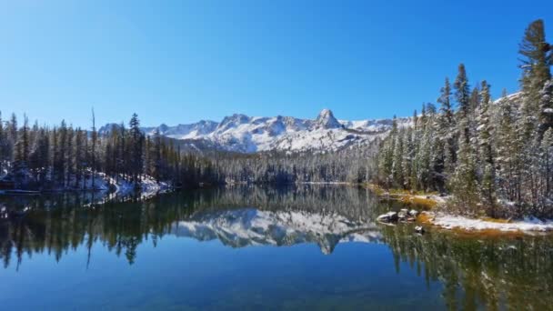 澄んだ青空と晴れたマミー湖の表面から反映して雪の山と霜の森 ワイドハンドヘルド静的ショット — ストック動画