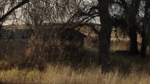 Gruselige Wälder Mit Verlassenen Wirtschaftsgebäuden Herbst 2021 Loveland Colorado — Stockvideo