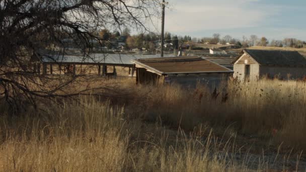 Alte Kaputte Wirtschaftsgebäude Der Nähe Von Loveland Colorado — Stockvideo