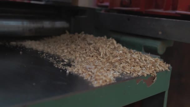 Oak Sawdust Table Planer Thicknesser Machine — Stock Video