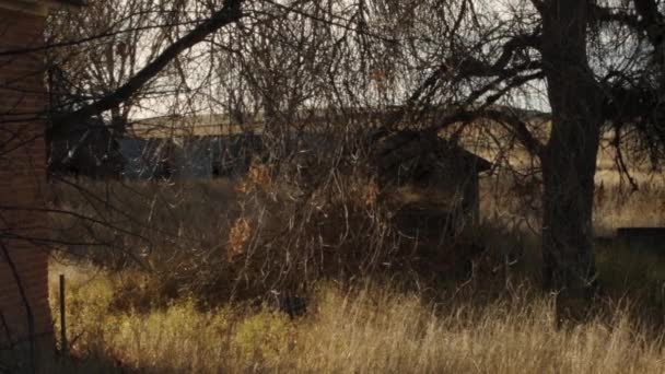 不気味な木や壊れた建物を示す放棄された農場のパンニングショット — ストック動画