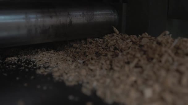 Fine Oak Wood Sawdust Thickness Planer Machine — Stock Video