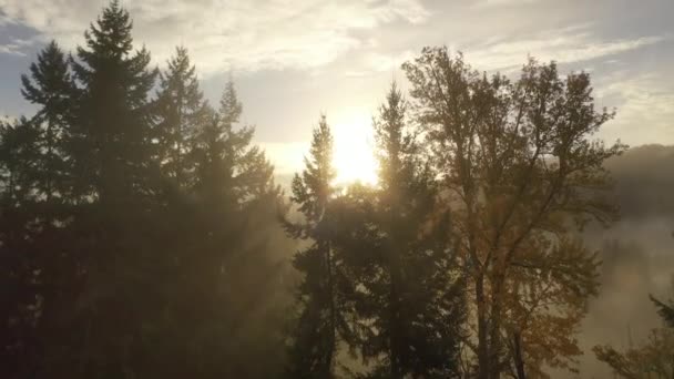 Glorieuze Antenne Ochtend Zonsopgang Mistige Bergketen — Stockvideo